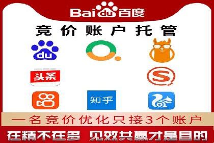SEM竞价代运营：案例展示精准营销效果